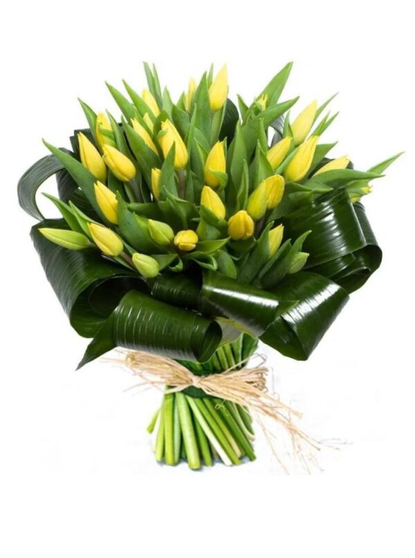 Tulipanes amarillos M07